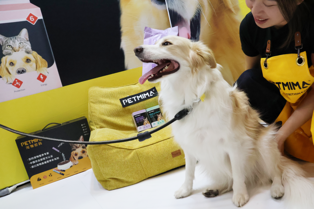 White dog visiting the Petmima stand at Dog Lovers Festival Sydney